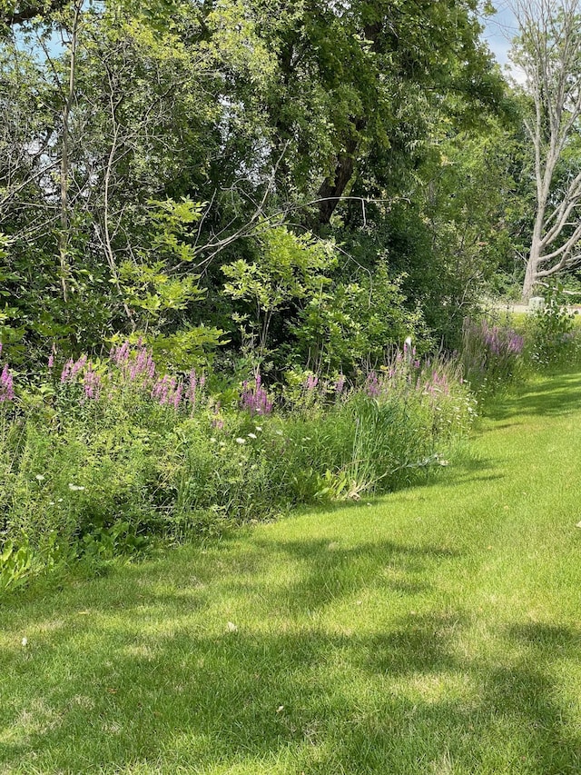 3092 N Spurway Dr, Ann Arbor, MI 48105 - view of green lawn