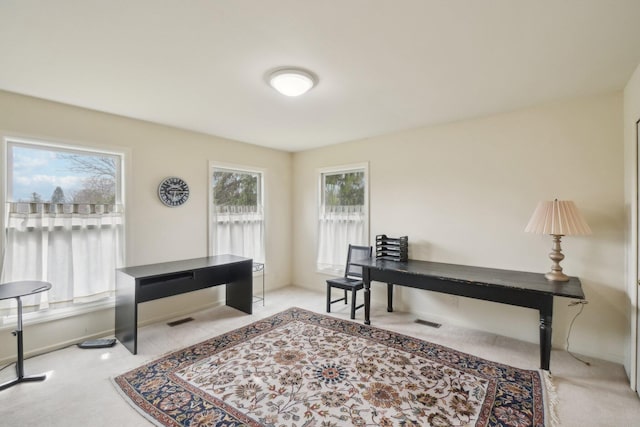 5206 Village Rd, Saline, MI 48176 - photo 23