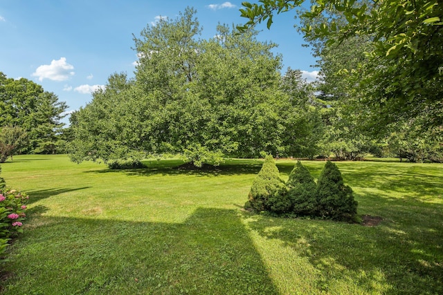 5206 Village Rd, Saline, MI 48176 - photo 34