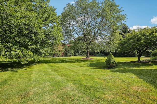 5206 Village Rd, Saline, MI 48176 - photo 35
