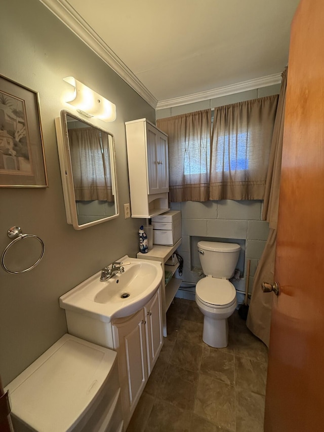755 Bright Water Dr, Coldwater, MI 49036 - bathroom with toilet, ornamental molding, and vanity