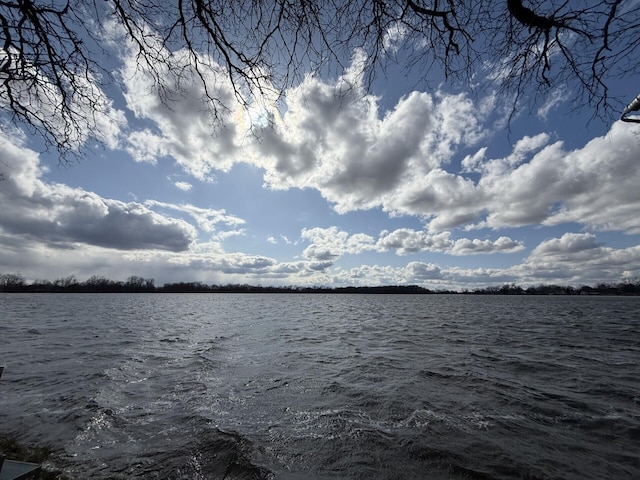 755 Bright Water Dr, Coldwater, MI 49036 - water view