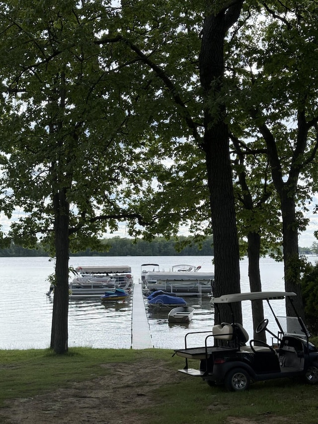 755 Bright Water Dr, Coldwater, MI 49036 - dock area featuring a water view