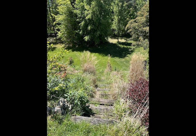 14750 Waypoint Pkwy, West Olive, MI 49460 - view of local wilderness