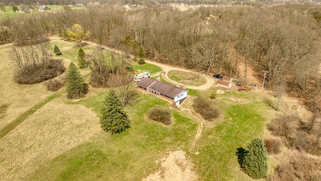drone / aerial view