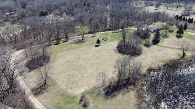 drone / aerial view