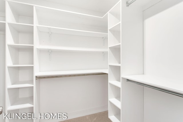 920 W Savidge St Unit 14, Spring Lake, MI 49456 - walk in closet with carpet floors