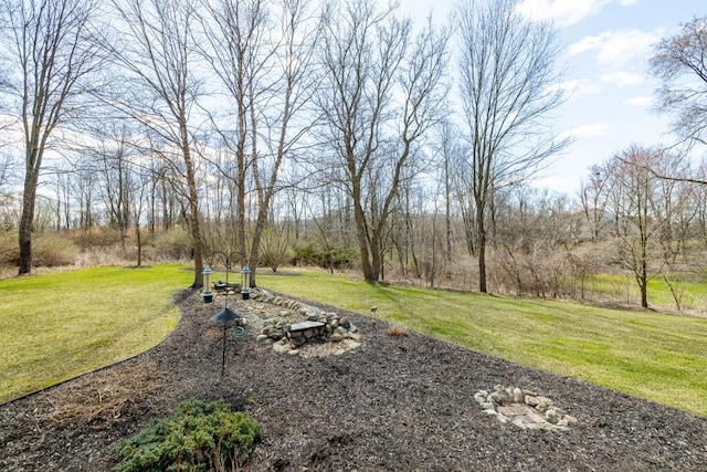 6756 Fleming Creek Dr, Michigan, MI 48198 - photo 57