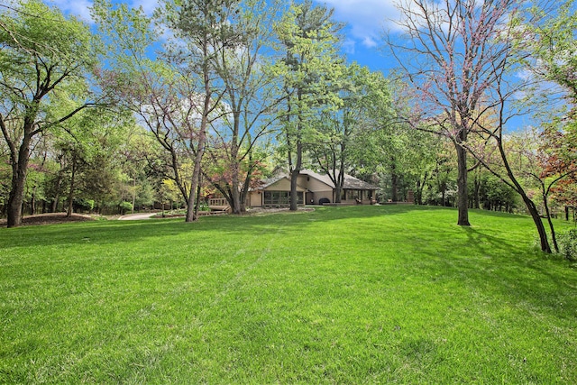 2891 Gale Rd, Ann Arbor, MI 48105 - view of green lawn
