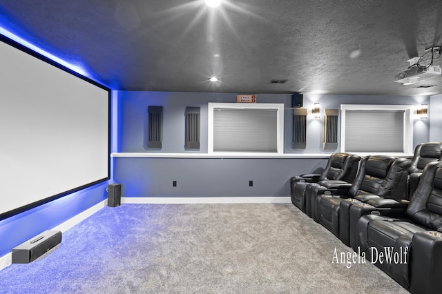 4087 Baldwin St, Hudsonville, MI 49426 - carpeted home theater room with a textured ceiling, baseboards, and visible vents
