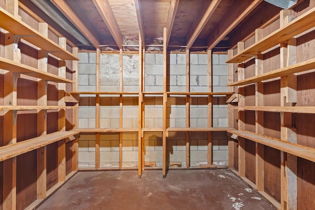 4675 Treat Hwy, Adrian, MI 49221 - view of storage
