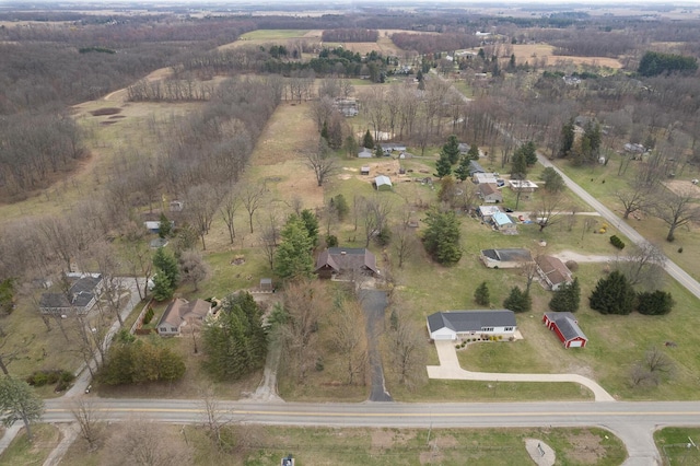 4675 Treat Hwy, Adrian, MI 49221 - aerial overview of property's location with rural landscape