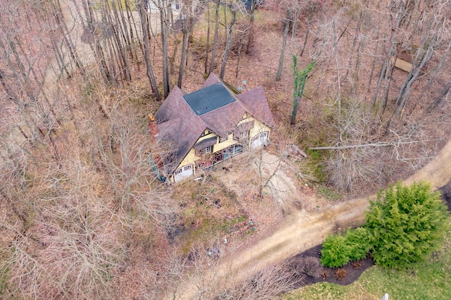 bird's eye view
