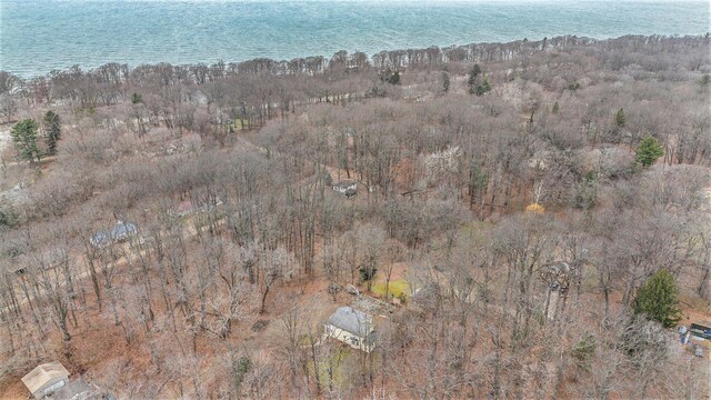 5353 Plum St, Coloma, MI 49038 - aerial overview of property's location with a large body of water