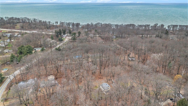 5353 Plum St, Coloma, MI 49038 - aerial overview of property's location with a nearby body of water