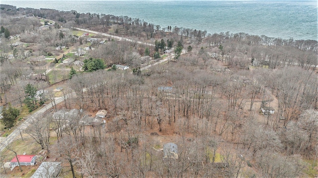5353 Plum St, Coloma, MI 49038 - aerial view of property's location featuring a large body of water