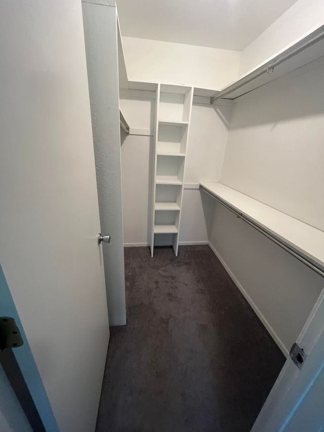 7355 Sherwood Crk, West Bloomfield, MI 48322 - spacious closet featuring dark carpet