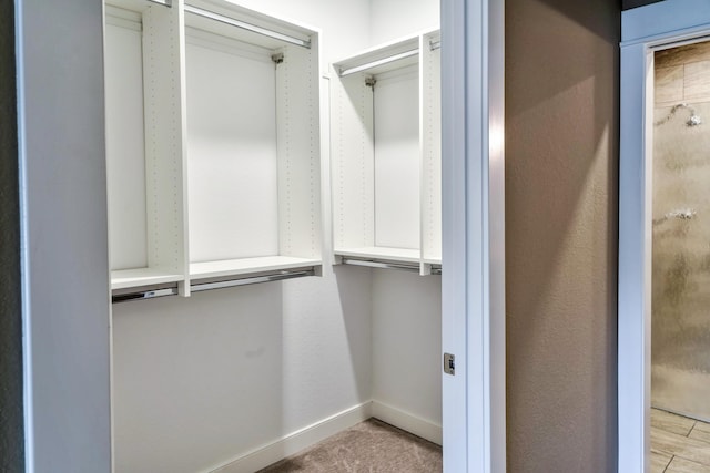 view of walk in closet