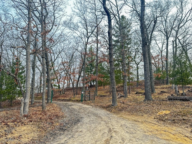 view of road featuring driveway