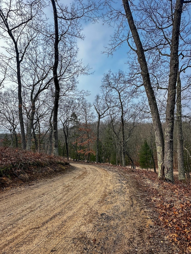 view of road featuring a wooded view