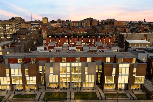 229 Alfred St, Detroit, MI 48201 - view of city