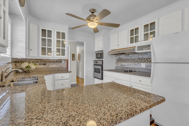 kitchen featuring a ceiling fan, under cabinet range hood, decorative backsplash, stainless steel appliances, and a sink