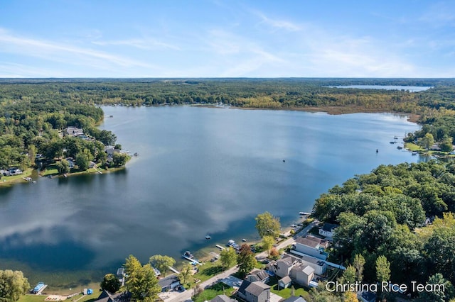 4703 White Rd, Pierson, MI 49339 - photo 39