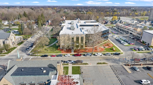 bird's eye view