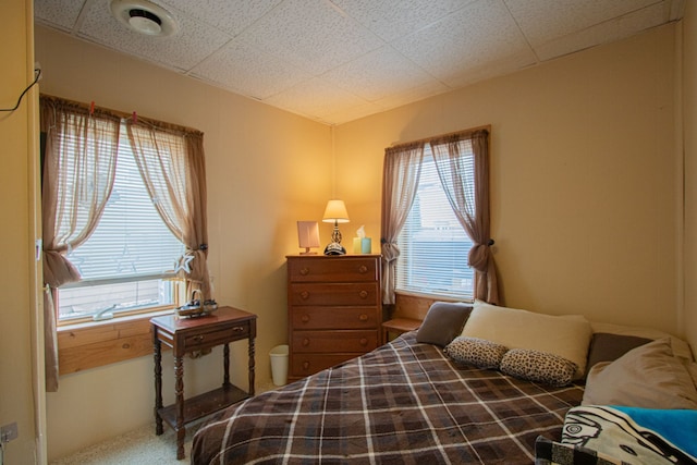 bedroom with carpet flooring and multiple windows