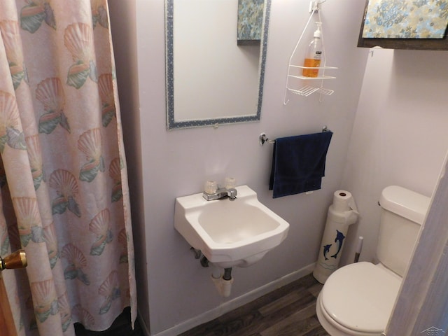 103 W Ludington Dr, Farwell, MI 48622 - bathroom with wood finished floors, a sink, toilet, a shower with curtain, and baseboards
