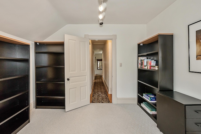 interior space with track lighting and lofted ceiling