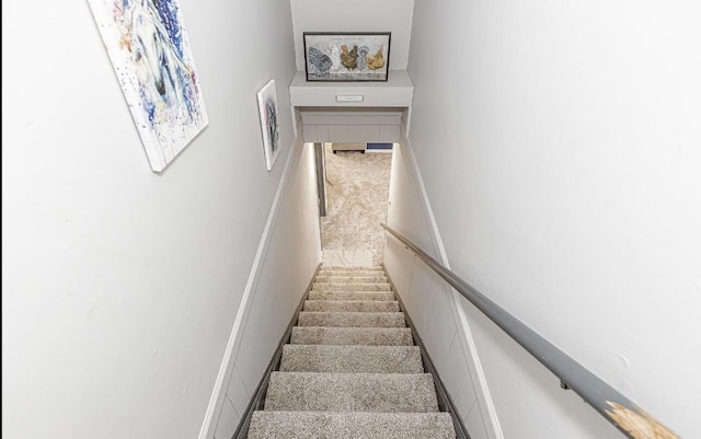 stairway featuring carpet