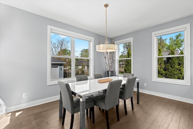 dining space featuring baseboards and wood-type flooring