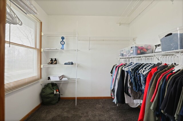 3353 Murphy Lake Rd, Millington, MI 48746 - walk in closet with carpet floors