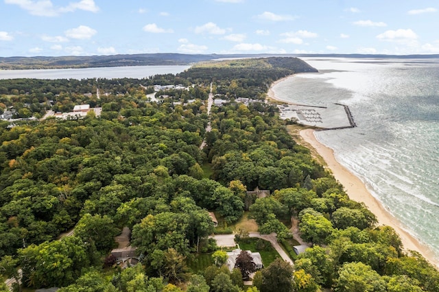 116 W Hill St, Leland, MI 49654