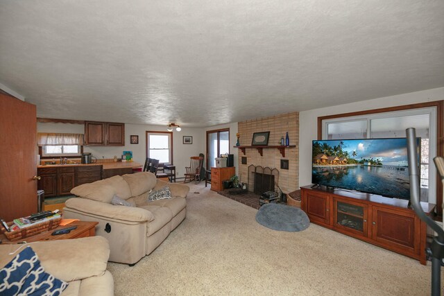 69465 High St, Union, MI 49130 - carpeted living area with a sink, a fireplace, and a textured ceiling