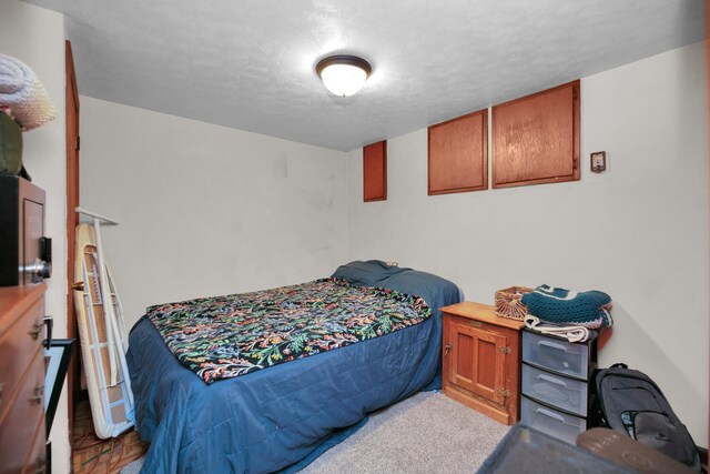 69465 High St, Union, MI 49130 - view of carpeted bedroom