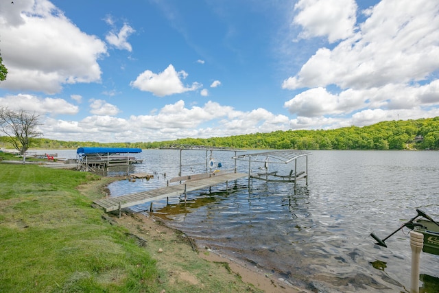 69465 High St, Union, MI 49130 - dock with boat lift, a water view, and a wooded view