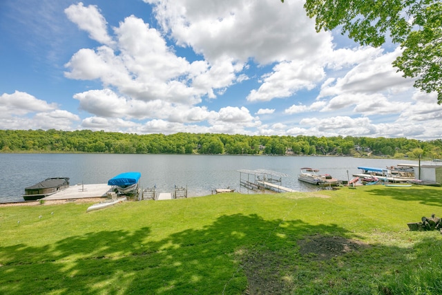 69465 High St, Union, MI 49130 - dock area featuring a water view, a lawn, and a wooded view