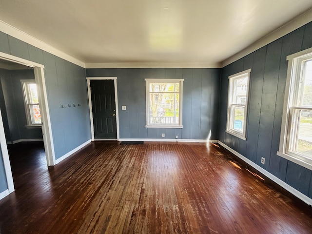 509 Mccourtie St, Kalamazoo, MI 49008 - empty room featuring baseboards, wood finished floors, and a healthy amount of sunlight