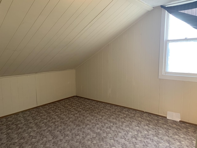 509 Mccourtie St, Kalamazoo, MI 49008 - additional living space with wood walls, carpet flooring, and lofted ceiling