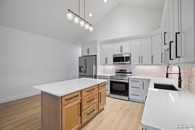 8810 W Stephenson Hwy, Onsted, MI 49265 - photo 8