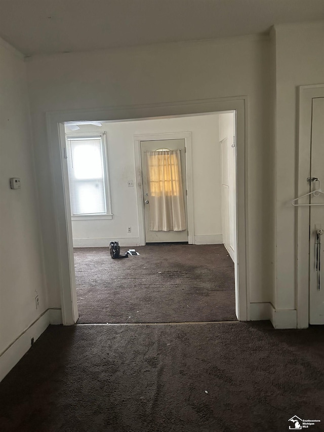 455 Kitchener St, Detroit, MI 48215 - hallway with dark colored carpet and baseboards