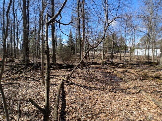 view of nature