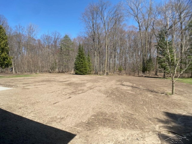 view of yard with a forest view