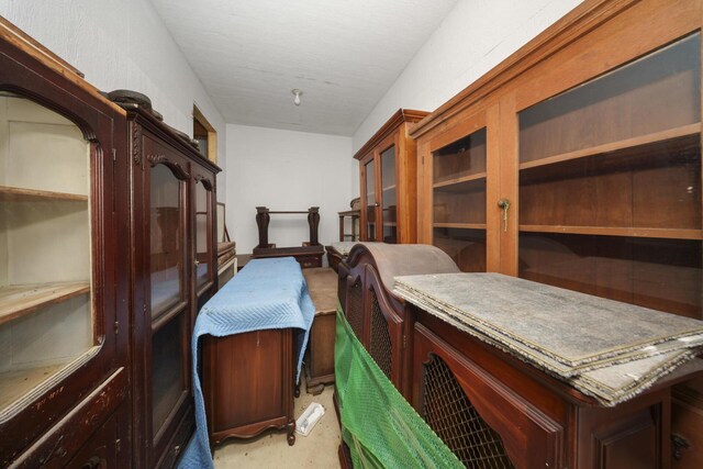 13290 Tracey Rd, Manchester, MI 48158 - photo 47