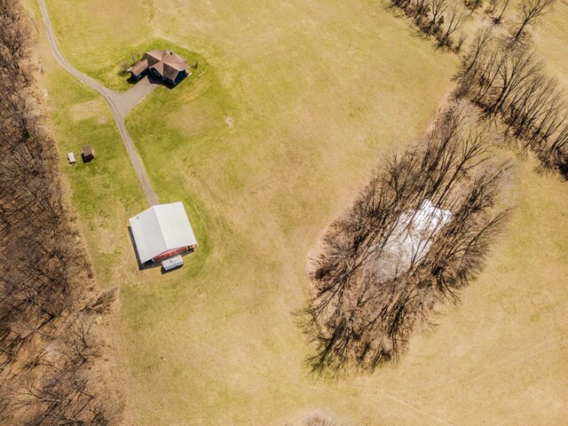 13290 Tracey Rd, Manchester, MI 48158 - photo 51