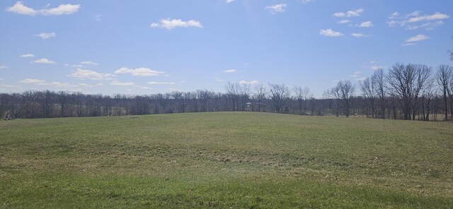 13290 Tracey Rd, Manchester, MI 48158 - photo 32