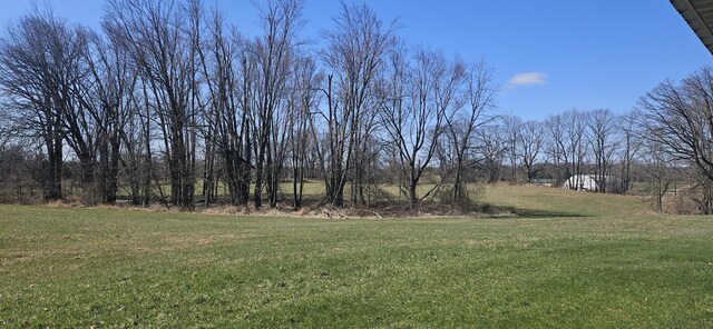 13290 Tracey Rd, Manchester, MI 48158 - photo 34