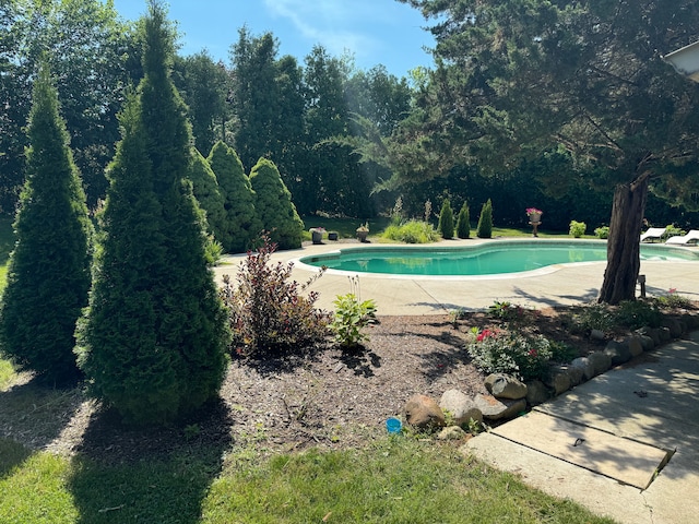 outdoor pool with a patio